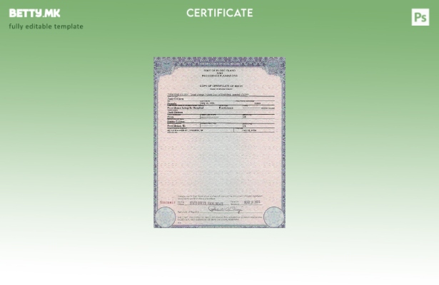 модерен стил, шаблон за извод од матична книга на родените на државата Род Ајлен